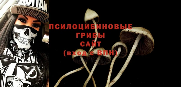 бошки Алексеевка
