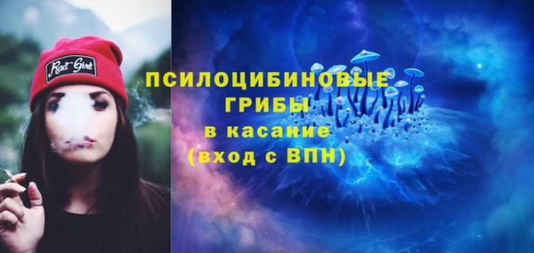 бошки Алексеевка