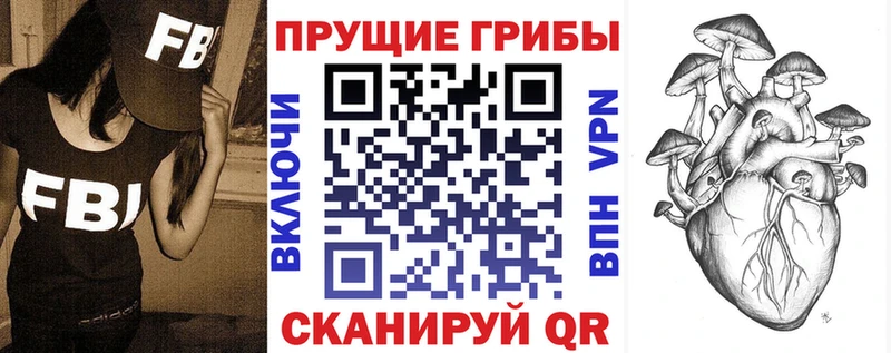 Псилоцибиновые грибы Psilocybe  Кяхта 